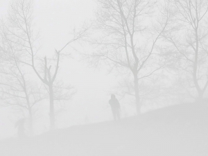Густой туман помог еще одному солдату армии КНДР бежать  в Южную Корею