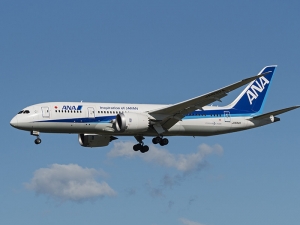 Следовавший из Лос-Анджелеса в Токио самолет развернулся на полпути из-за перепутавшего рейсы пассажира