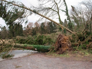 На Северную Европу обрушился ураган 'Фредерике': в Нидерландах и Германии погибли 6 человек