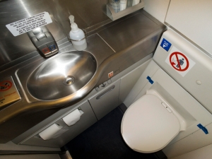 В Норвегии самолет с 84 сантехниками на борту был вынужден вернуться в аэропорт из-за неисправного туалета