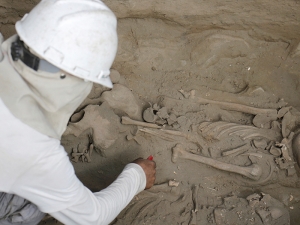 Страшная находка в Перу: археологи обнаружили следы массового жертвоприношения детей, произошедшего сотни лет назад
