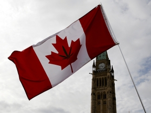 Сенат Канады одобрил законопроект о легализации марихуаны