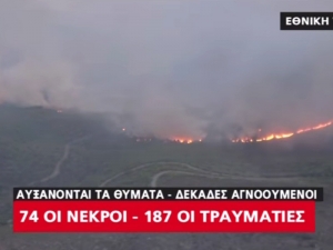 Число жертв лесных пожаров в Греции выросло до 74 человек