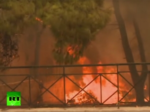 Из-за лесных пожаров  под Афинами погибли десятки человек