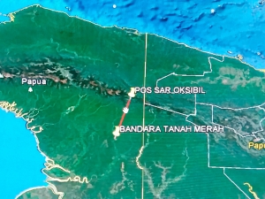 При крушении легкомоторного самолета в Индонезии выжил двенадцатилетний мальчик