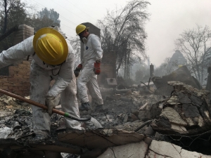 NYT: власти Калифорнии практически не оповещали жителей о приближении смертоносного пожара, в котором погибли уже 86 человек