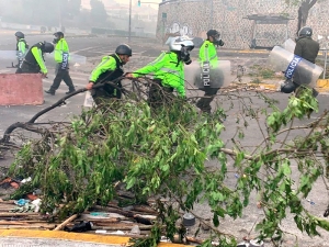 Эквадорский президент приказал армии занять улицы столицы