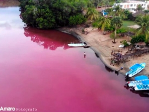 Лагуна на юге Мексики окрасилась в ярко-розовый цвет (ФОТО, ВИДЕО)