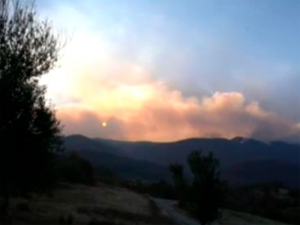 На границе Болгарии и Сербии локализован большой лесной пожар