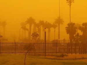 Австралийский город погрузился в оранжевую мглу. Страну накрыли жара, пожары и пыльные бури (ФОТО, ВИДЕО)