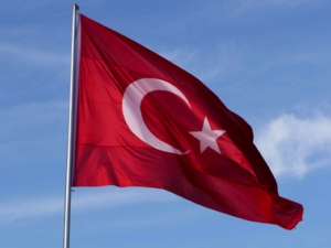 Турция начала высылать захваченных боевиков ИГ* в страны их происхождения - США, Германию, Францию, Данию...