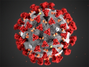 США выделят 100 млн долларов на борьбу с коронавирусом нового типа. Их получат  'Китай и другие страны'