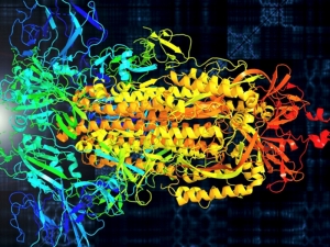 Американские ученые перевели колебания белков SARS-CoV-2 в звук - получилась успокаивающая мелодия коронавируса