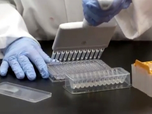 Pfizer и BioNTech сообщили об успешных испытаниях вакцины от COVID-19