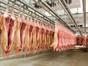 Депутаты Тайваня закидали свиными потрохами премьер-министра, протестуя против импорта мяса из США