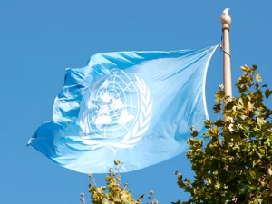 ООН проголосовала за исключение каннабиса из списка особо опасных наркотиков