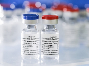 Евросоюз принял заявку на регистрацию российской вакцины от коронавируса 'Спутник V'